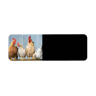Hens and Chicks Return Address Label