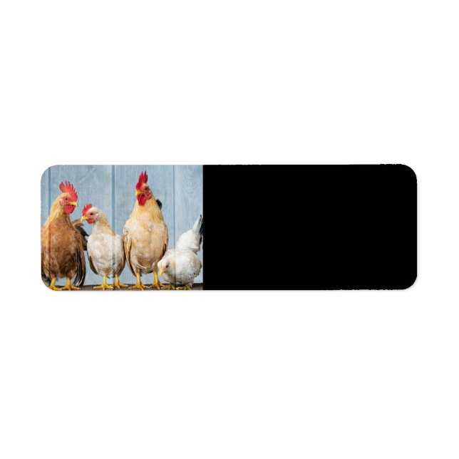 Hens and Chicks Return Address Label (Front)