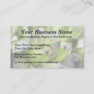 Hens And Chicks - Sempervivum Business Card