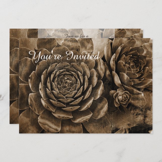 Hens and Chicks Succulent Baby Shower Invitation (Front/Back)