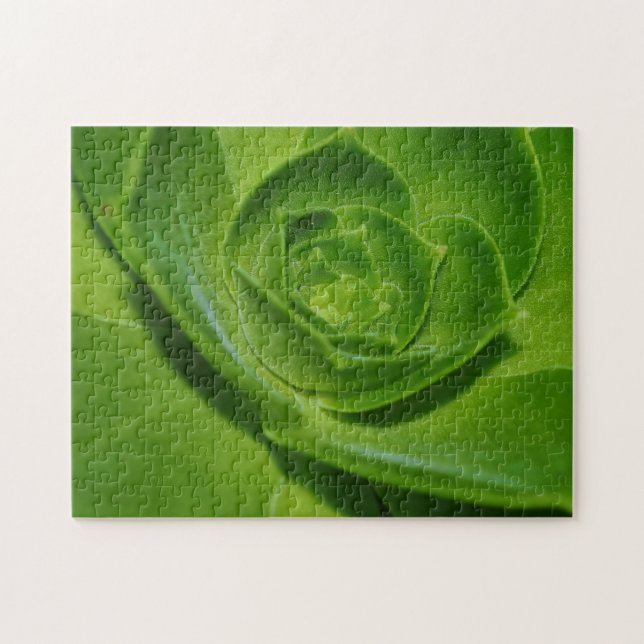 Hens and Chicks Succulent Cactus Green Puzzle (Horizontal)