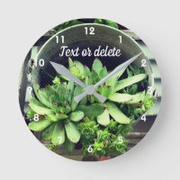 Hens And Chicks Succulents In Bucket Personalized