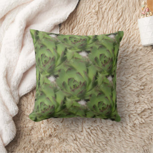 Hens And Chicks Succulents Nature Pattern Cushion