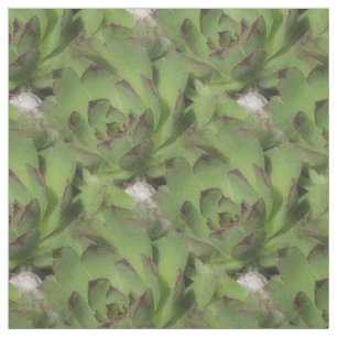Hens And Chicks Succulents Nature Pattern Fabric