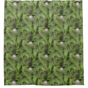 Hens And Chicks Succulents Nature Pattern Shower Curtain