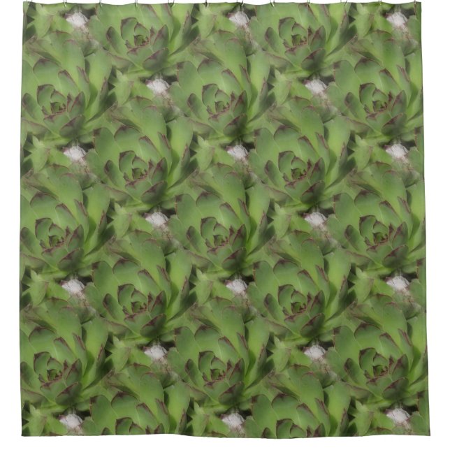 Hens And Chicks Succulents Nature Pattern Shower Curtain (Front)