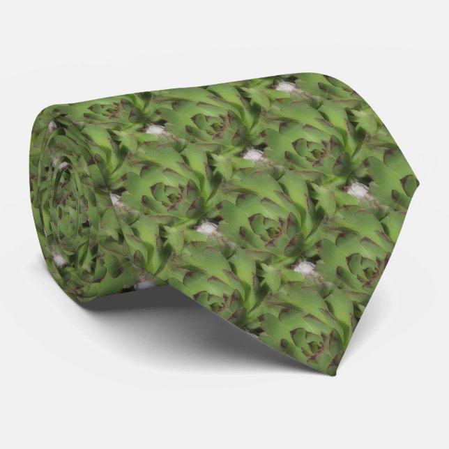 Hens And Chicks Succulents Nature Pattern     Tie (Rolled)