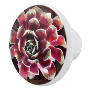 Hens n Chicks Succulent Plant Green Maroon Ceramic Knob