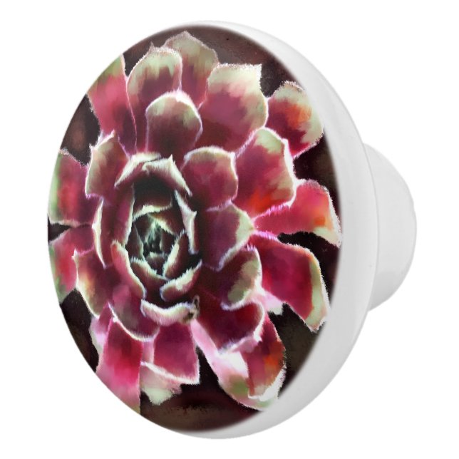 Hens n Chicks Succulent Plant Green Maroon Ceramic Knob (Right)