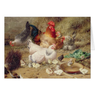 Hens roosting with their chickens