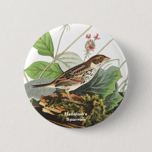 Henslow's Sparrow, Birdwatcher, Audubon Art, Bird 6 Cm Round Badge