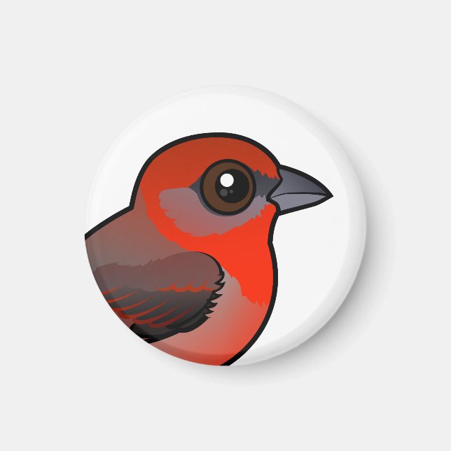 Hepatic Tanager Magnet (Front)