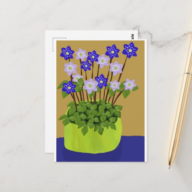 Hepatica Postcard (Front/Back In Situ)