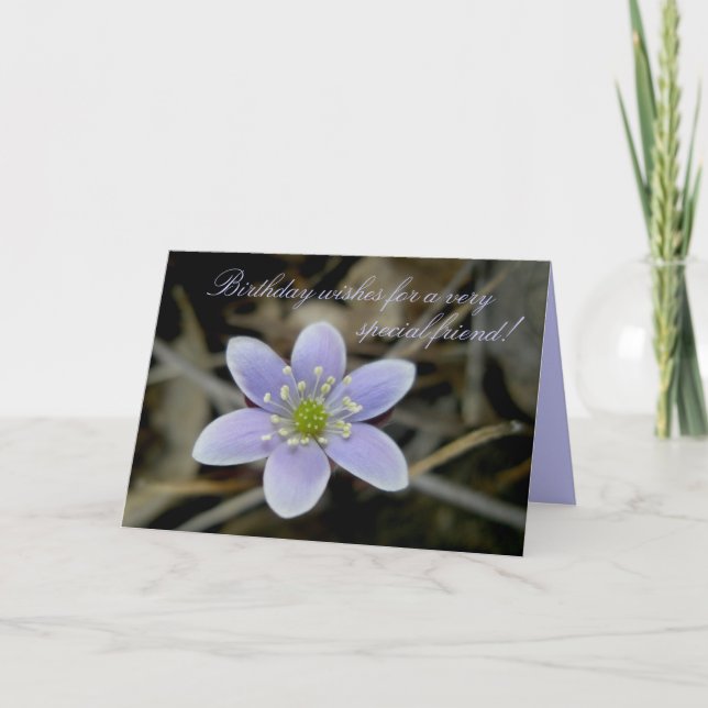 Hepatica Special Friend Birthday Card (Front)