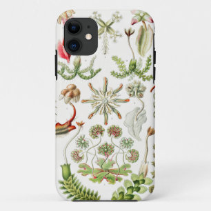 Hepaticae Lebermoose by Ernst Haeckel iPhone 11 Case