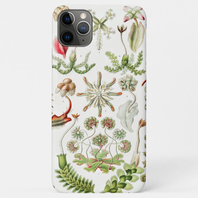 Hepaticae Lebermoose by Ernst Haeckel Case-Mate iPhone Case (Back)