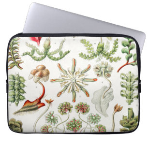 Hepaticae Lebermoose by Ernst Haeckel Laptop Sleeve