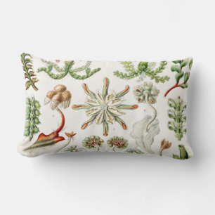Hepaticae Lebermoose by Ernst Haeckel Lumbar Cushion