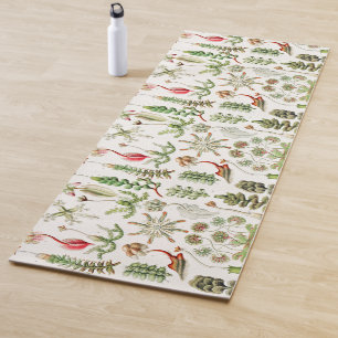 Hepaticae Lebermoose by Ernst Haeckel Yoga Mat