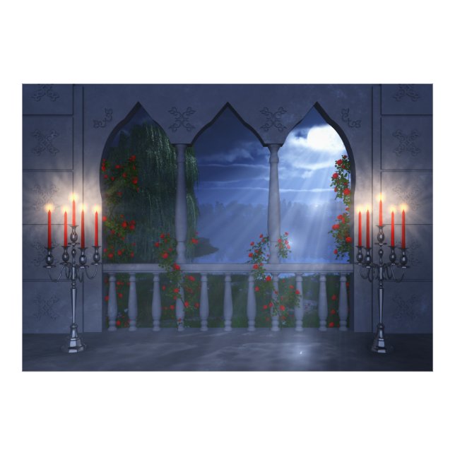 Her Silver Mantle Photo Print (Front)