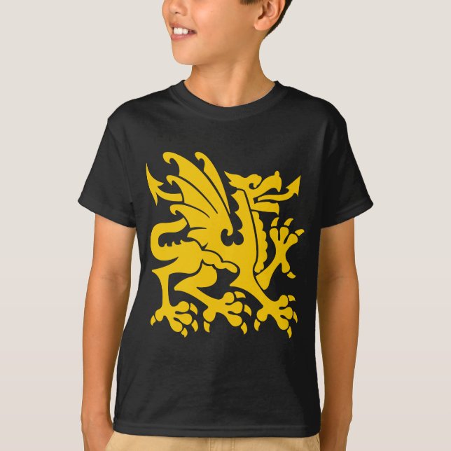 Heraldic Dragon 01 - Amber T-Shirt (Front)