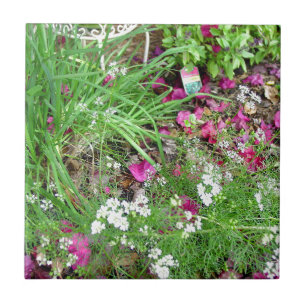 Herb collection chives photograph art ceramic tile