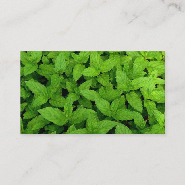 Herb Farm Business Card (Front)