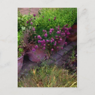 Herb Garden Postcard