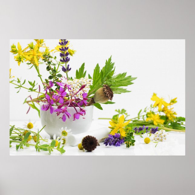 herb garden poster (Front)