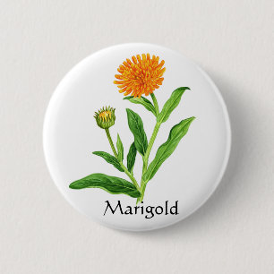 Herb Garden Series - Marigold 6 Cm Round Badge