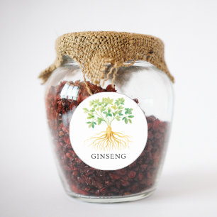 Herb Ginseng Watercolor  Classic Round Sticker