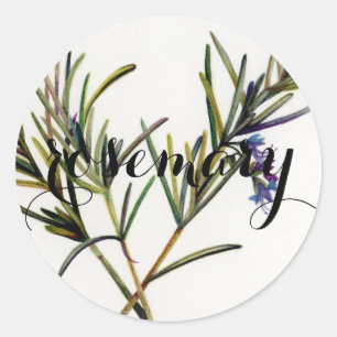 Herb Labels for jars or seed packets: Rosemary