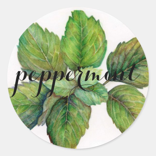 Herb: Peppermint  Classic Round Sticker (Front)