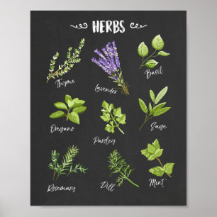 Herb print Herbs art Kitchen art Kitchen decor