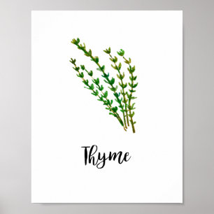 Herb Watercolor Painting Word Art Poster