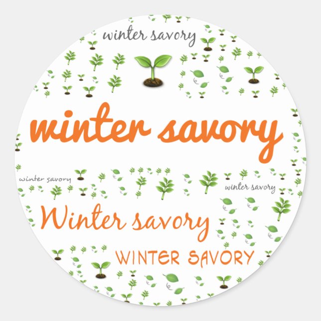 HERB WORD LABEL - WINTER SAVORY (Front)