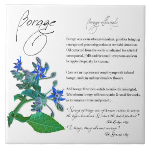 Herbal Apothecary: Borage   Ceramic Tile