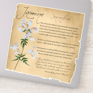 Herbal Apothecary: Jasmine Botanical Sticker