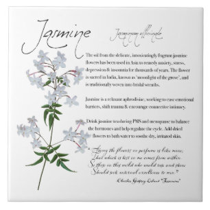 Herbal Apothecary: Jasmine Flower Ceramic Tile
