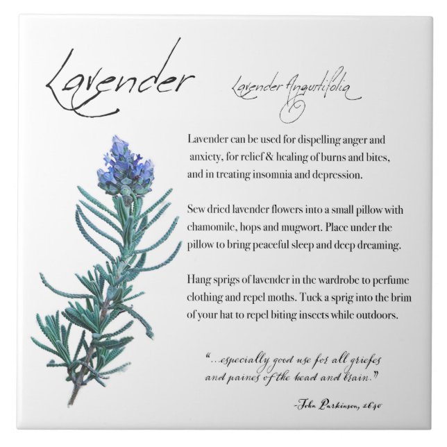 Herbal Apothecary: Lavender | Ceramic Tile (Front)