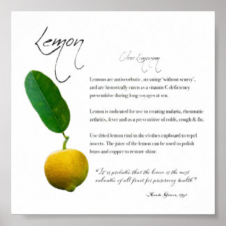 Herbal Apothecary: Lemon | Value Paper Poster