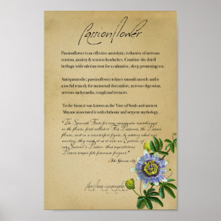 Herbal Apothecary: Passionflower | Botanical Poste Poster