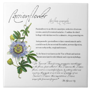 Herbal Apothecary: Passionflower Ceramic Tile