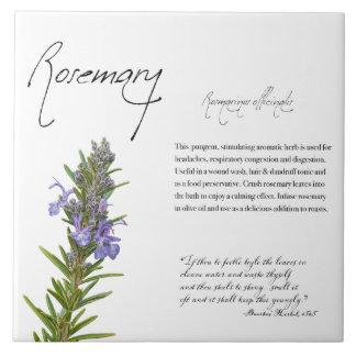 Herbal Apothecary: Rosemary | Botanical Tile