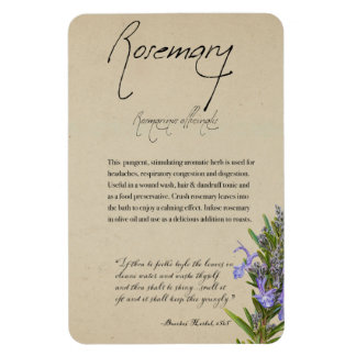 Herbal Apothecary: Rosemary | Magnet
