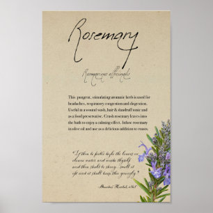 Herbal Apothecary: Rosemary   Tall Poster