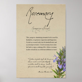 Herbal Apothecary: Rosemary | Tall Poster