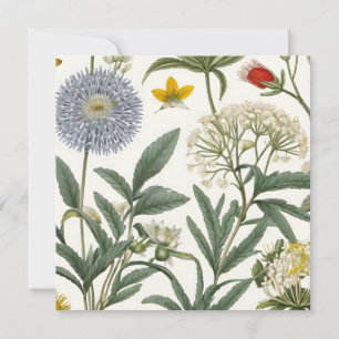 Herbal Harmony