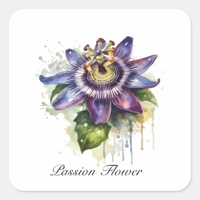 Herbal Life: passion flower customisable Square Sticker (Front)