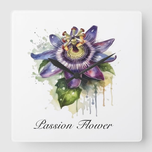 Herbal Life: passion flower  Square Wall Clock (Front)